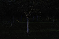 luglio2012